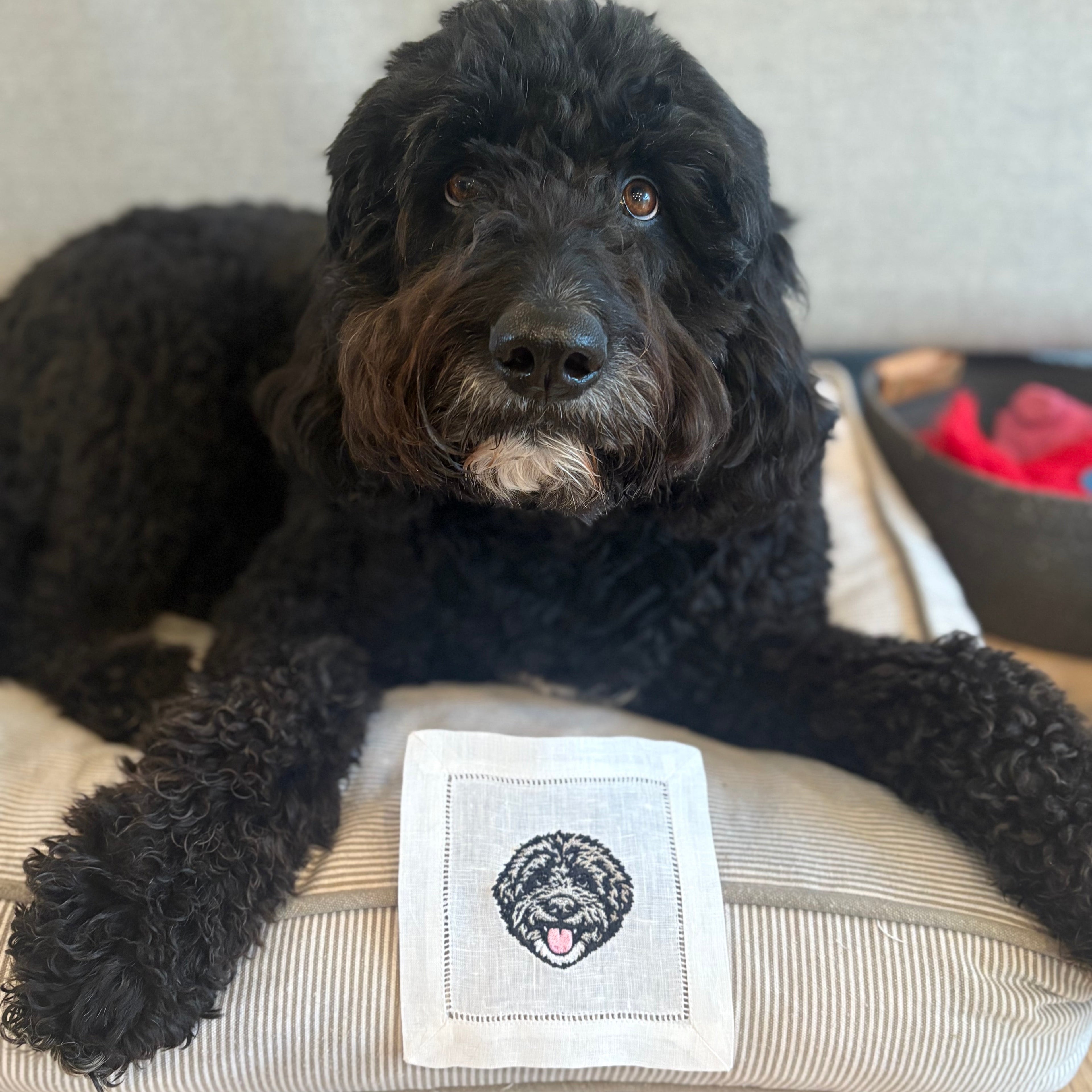 Black dog lying on a cushion with a embroidered patch of another black dog on a beige couch.