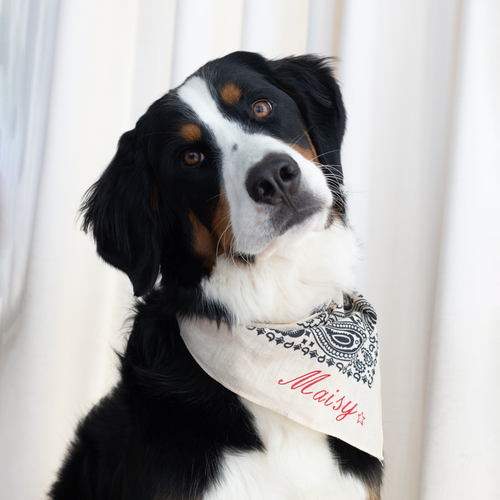 custom black and white_dog_bandana