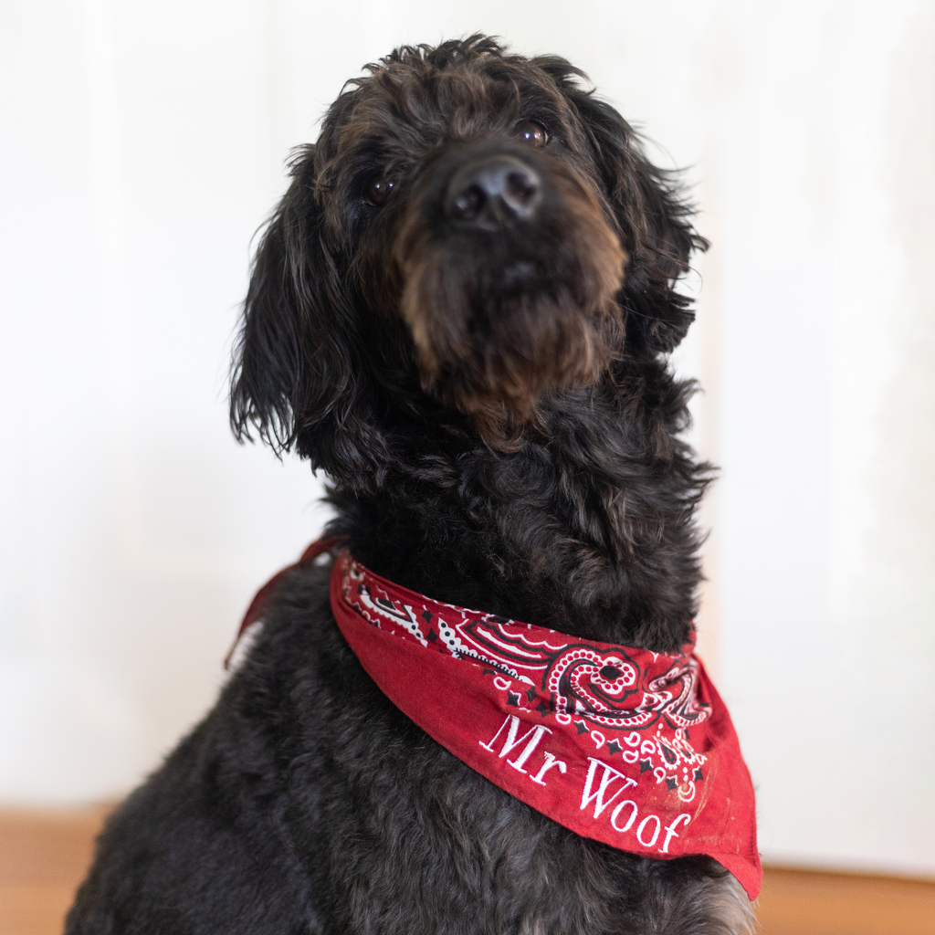 custom red and white_dog_bandana_2