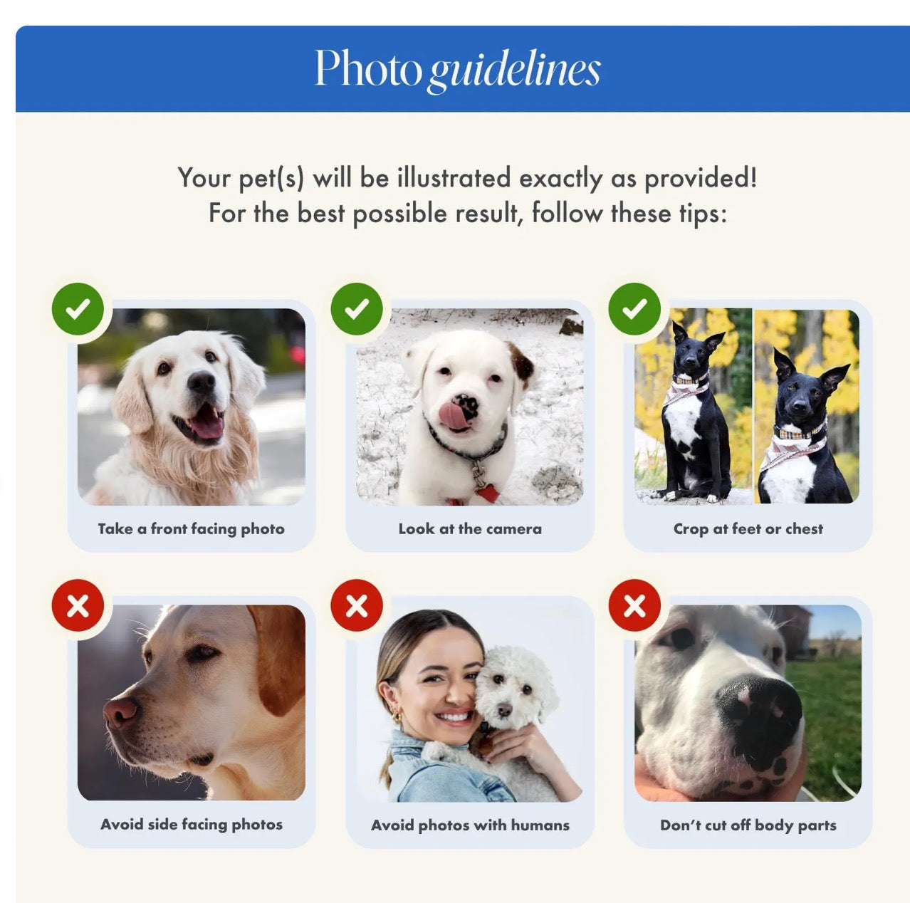 Custom Pet Photo Cocktail Napkins